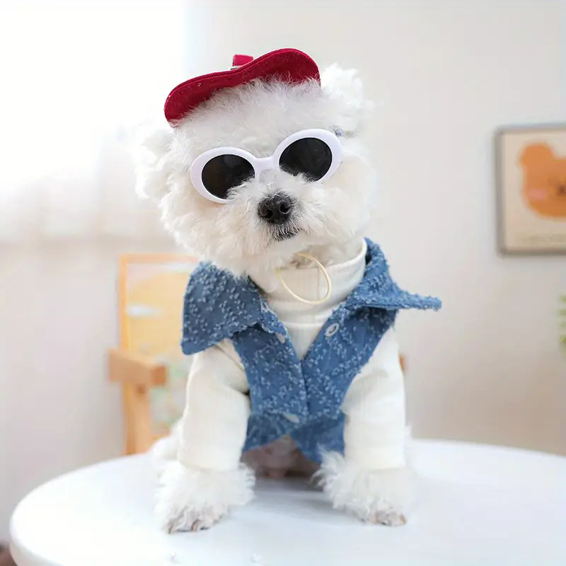 Dog fashion baseball cap with  - Street Fashion Shoot のレビューと価格