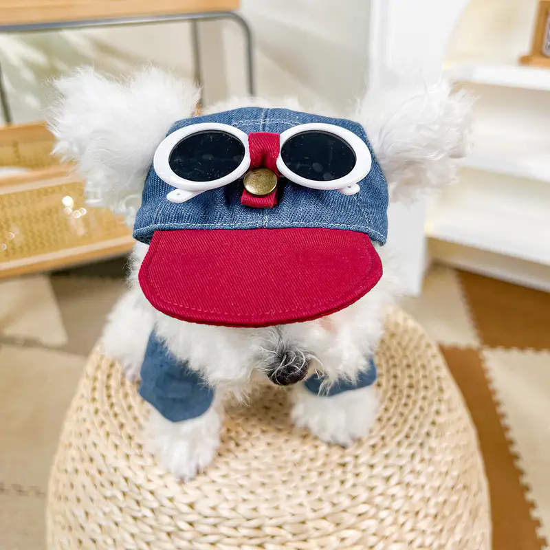 Dog fashion baseball cap with  - Street Fashion Shoot のレビューと価格