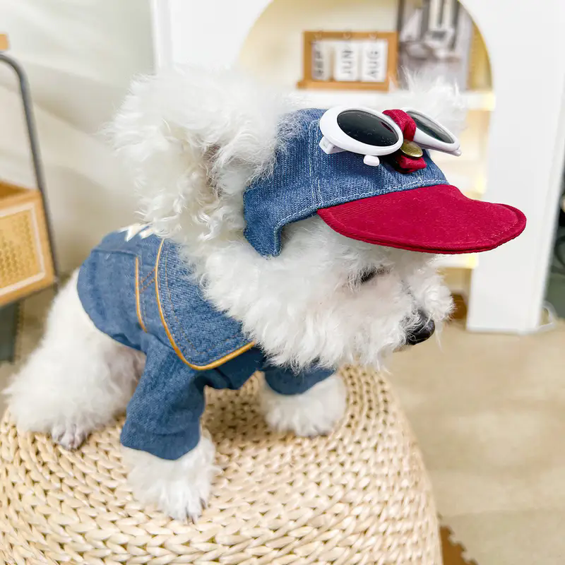 Dog fashion baseball cap with  - Street Fashion Shoot のレビューと価格